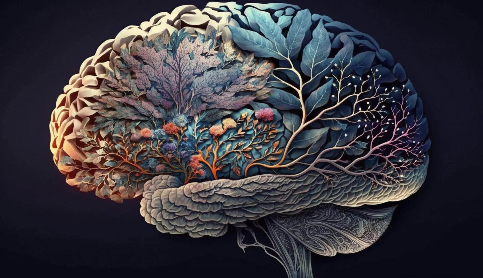ludzki mozg ciekawostki